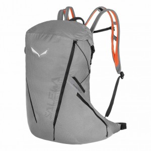 Men Salewa Pedroc Pro 22 Backpack Grey | S-9584130